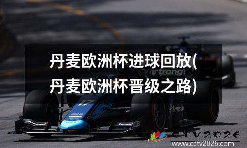 丹麦欧洲杯进球回放(丹麦欧洲杯晋级之路)