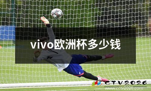 vivo欧洲杯多少钱