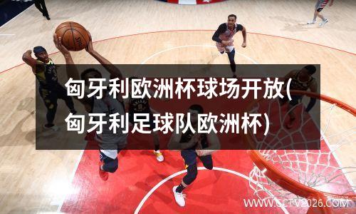 匈牙利欧洲杯球场开放(匈牙利足球队欧洲杯)