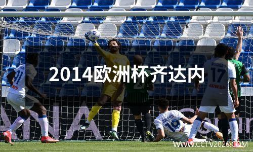 2014欧洲杯齐达内