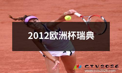 2012欧洲杯瑞典