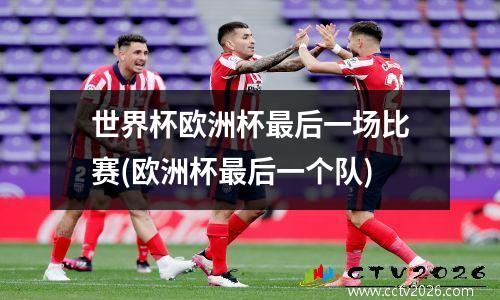 世界杯欧洲杯最后一场比赛(欧洲杯最后一个队)