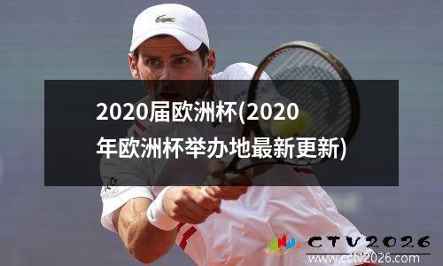 2020届欧洲杯(2020年欧洲杯举办地最新更新)
