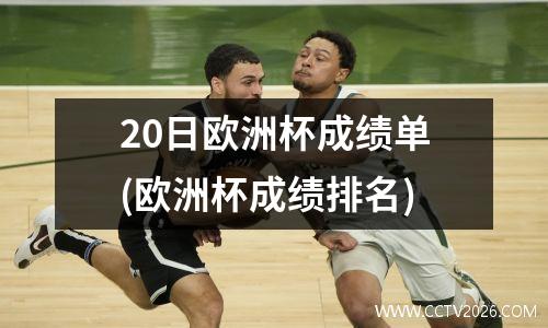20日欧洲杯成绩单(欧洲杯成绩排名)