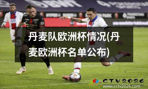 丹麦队欧洲杯情况(丹麦欧洲杯名单公布)
