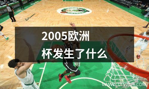 2005欧洲杯发生了什么