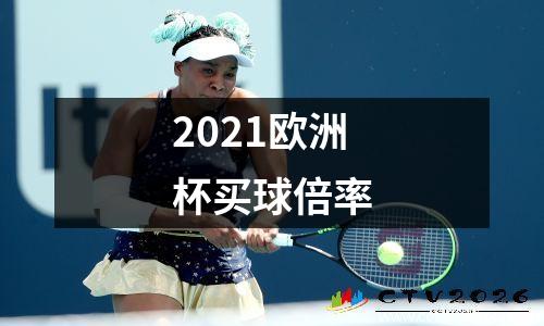 2021欧洲杯买球倍率