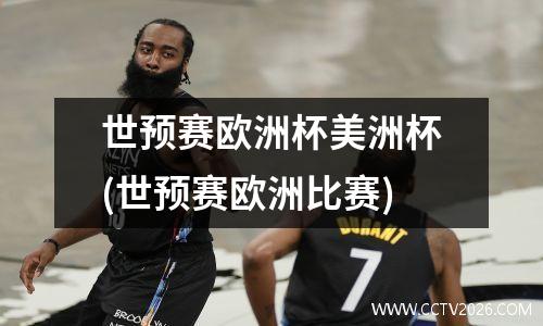世预赛欧洲杯美洲杯(世预赛欧洲比赛)