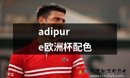 adipure欧洲杯配色
