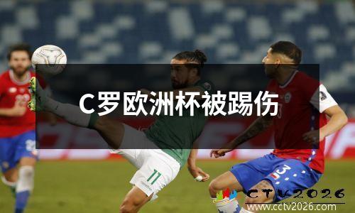 C罗欧洲杯被踢伤