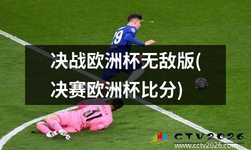 决战欧洲杯无敌版(决赛欧洲杯比分)