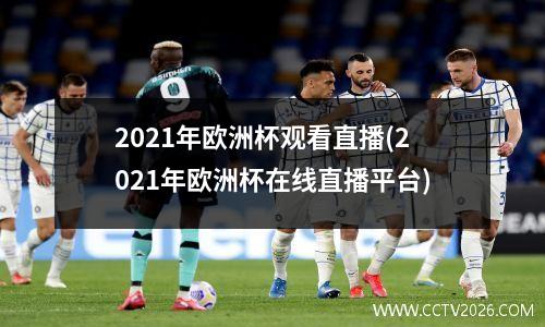 2021年欧洲杯观看直播(2021年欧洲杯在线直播平台)