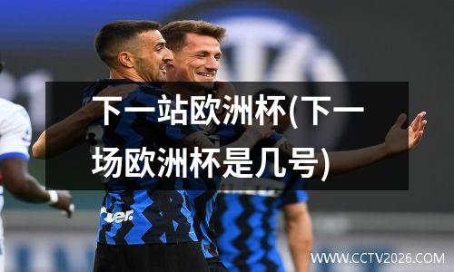 下一站欧洲杯(下一场欧洲杯是几号)