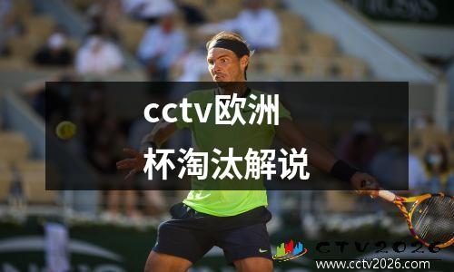 cctv欧洲杯淘汰解说