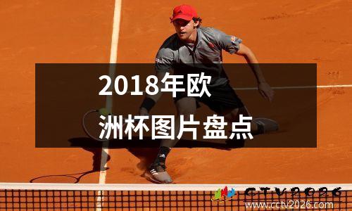 2018年欧洲杯图片盘点