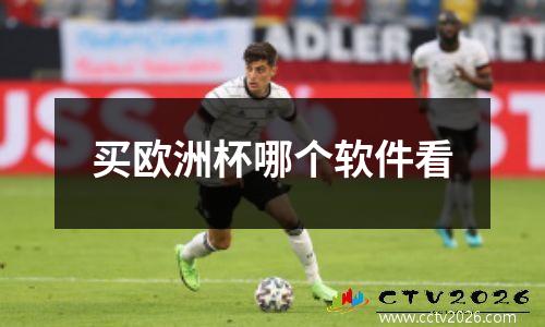 买欧洲杯哪个软件看