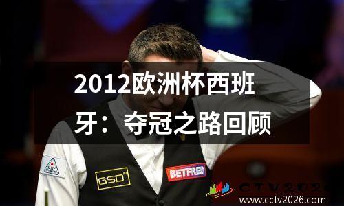 2012欧洲杯西班牙：夺冠之路回顾