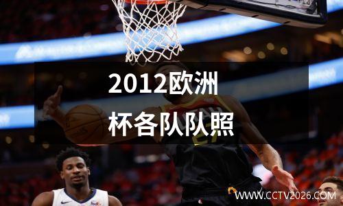 2012欧洲杯各队队照