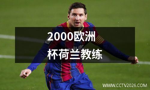 2000欧洲杯荷兰教练