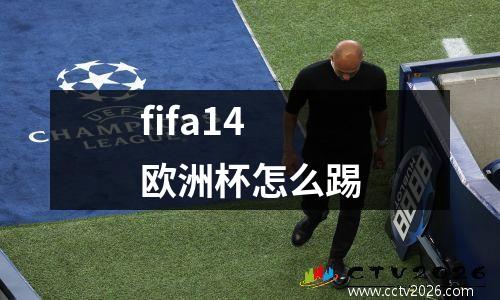fifa14欧洲杯怎么踢