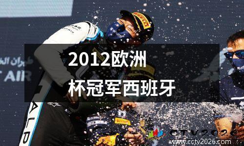 2012欧洲杯冠军西班牙