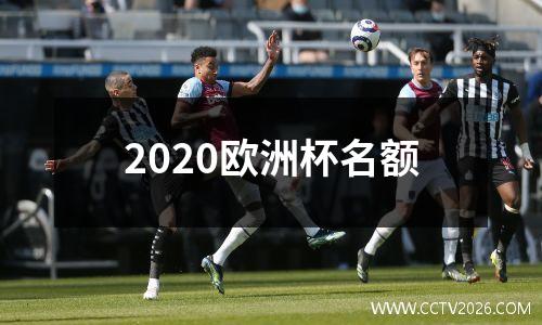 2020欧洲杯名额