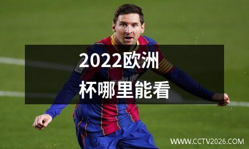 2022欧洲杯哪里能看