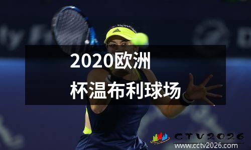 2020欧洲杯温布利球场