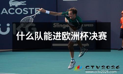 什么队能进欧洲杯决赛