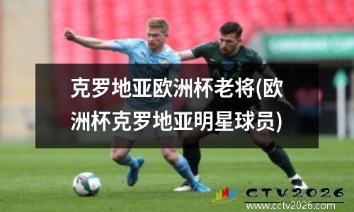 克罗地亚欧洲杯老将(欧洲杯克罗地亚明星球员)