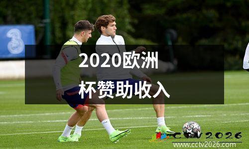 2020欧洲杯赞助收入