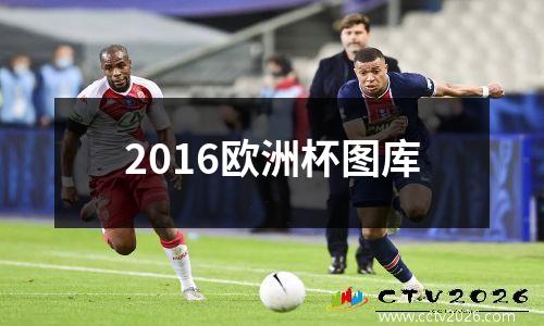 2016欧洲杯图库