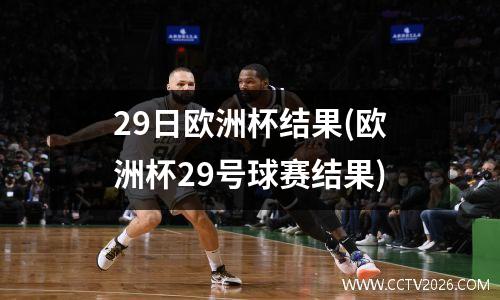 29日欧洲杯结果(欧洲杯29号球赛结果)