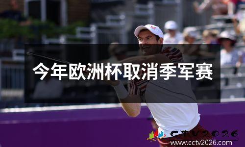 今年欧洲杯取消季军赛