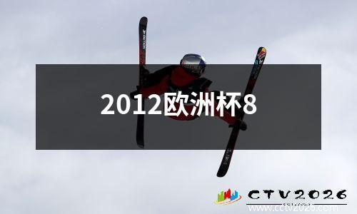 2012欧洲杯8