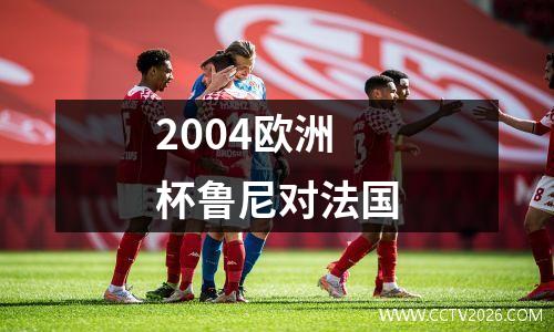 2004欧洲杯鲁尼对法国