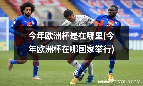 今年欧洲杯是在哪里(今年欧洲杯在哪国家举行)