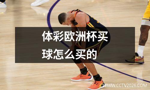 体彩欧洲杯买球怎么买的
