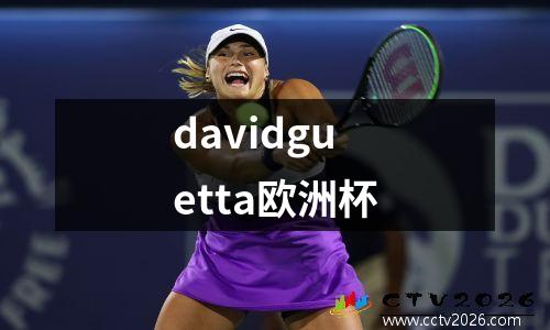 davidguetta欧洲杯