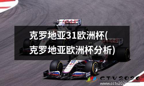 克罗地亚31欧洲杯(克罗地亚欧洲杯分析)