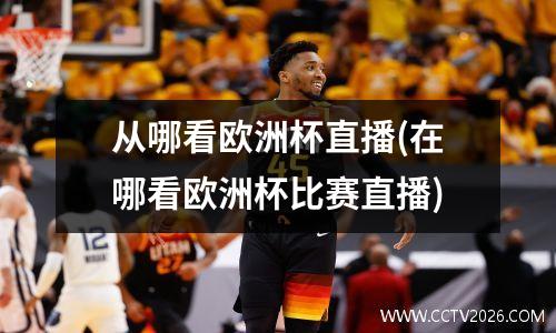 从哪看欧洲杯直播(在哪看欧洲杯比赛直播)