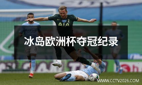 冰岛欧洲杯夺冠纪录