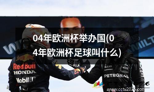 04年欧洲杯举办国(04年欧洲杯足球叫什么)