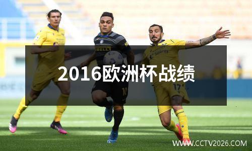 2016欧洲杯战绩