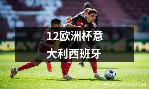 12欧洲杯意大利西班牙