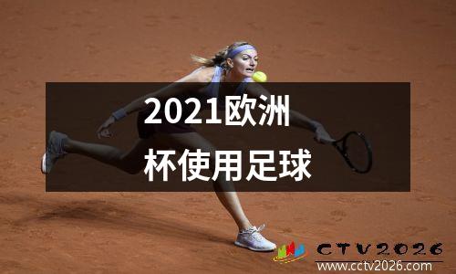 2021欧洲杯使用足球