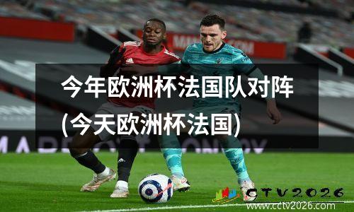 今年欧洲杯法国队对阵(今天欧洲杯法国)