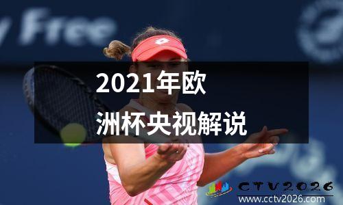 2021年欧洲杯央视解说