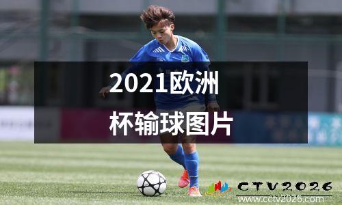 2021欧洲杯输球图片