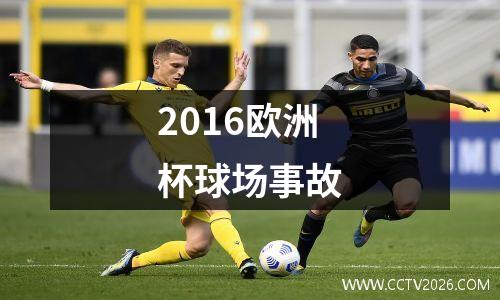 2016欧洲杯球场事故